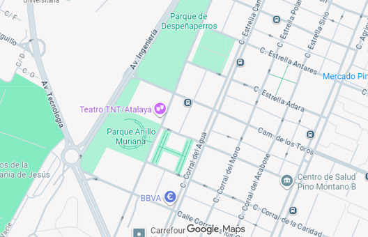 Ubicación del centro en Google Maps